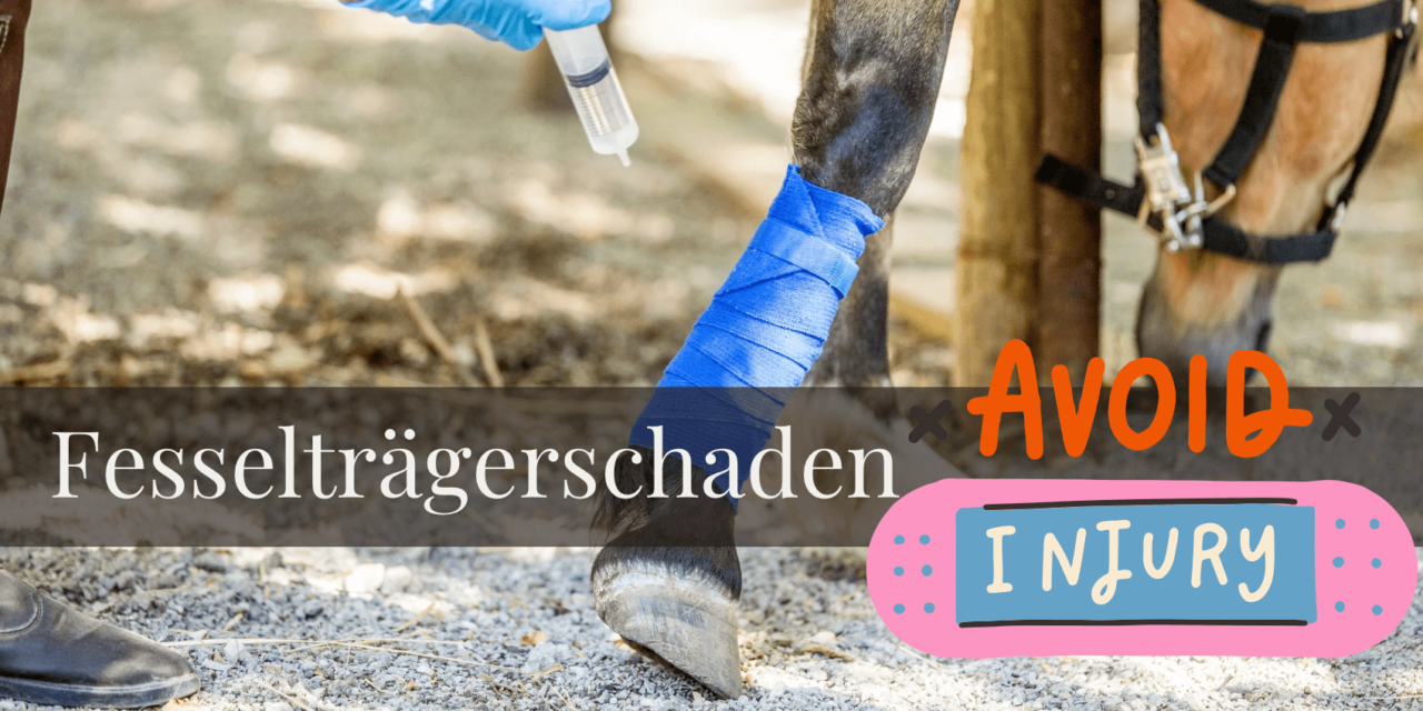 Diagnose: Fesselträgerschaden 