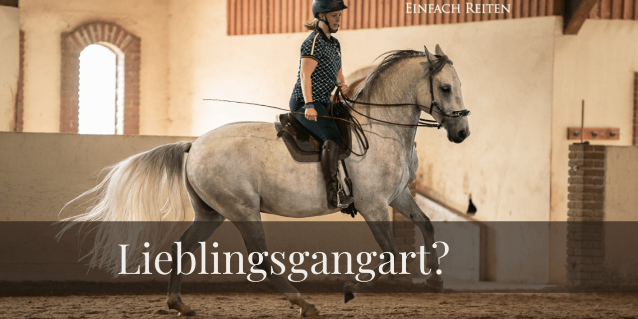 Welche Gangart liegt meinem Pferd?