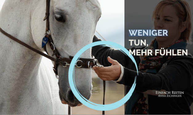 ERP-92: Weniger tun, mehr fühlen