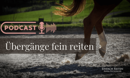 ERP-95: Übergänge fein reiten
