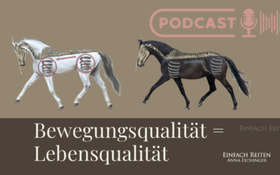 ERP-96 Bewegung heißt Leben – gutes oder schlechtes?