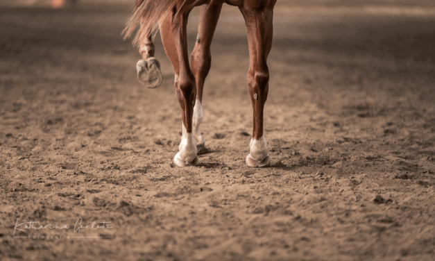 ERP-98: Hankenbeugung trotz Handicap?