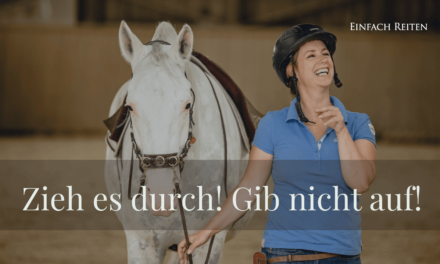 ERP-100: Zieh es durch! Gib nicht auf!